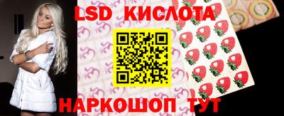 mdpv Вышний Волочёк