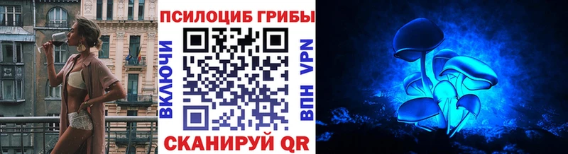 Псилоцибиновые грибы Cubensis  OMG как зайти  Кропоткин  закладка 