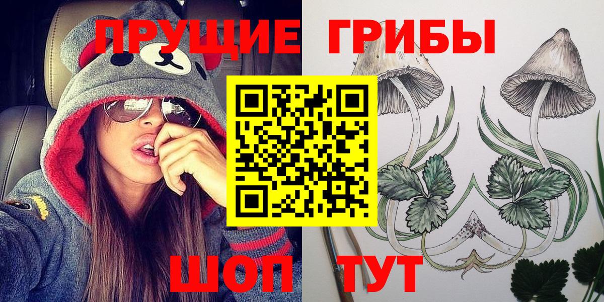 Псилоцибиновые грибы GOLDEN TEACHER  где найти наркотики  Кропоткин  Вход с VPN 